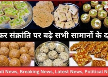 Makar Sankranti