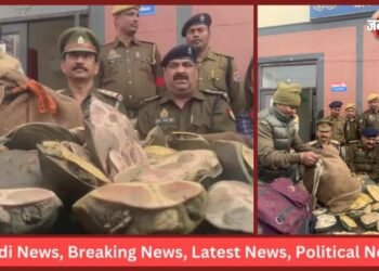 Turtles Worth Crores