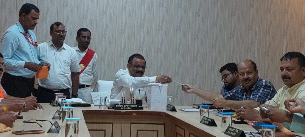 नगर निगम