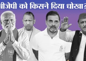 Loksabha Election Analysis