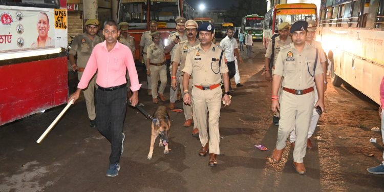 डॉक स्क्वायड, बम डिस्पोजल दस्ते के साथ