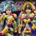 Janmashtami 2024: आज आधी रात जन्म लेंगे कन्हैया, मथुरा से द्वारका तक के मंदिरों में श्रीकृष्ण जन्माष्टमी की धूम