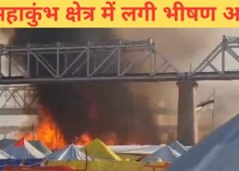 Mahakumbh Breaking News