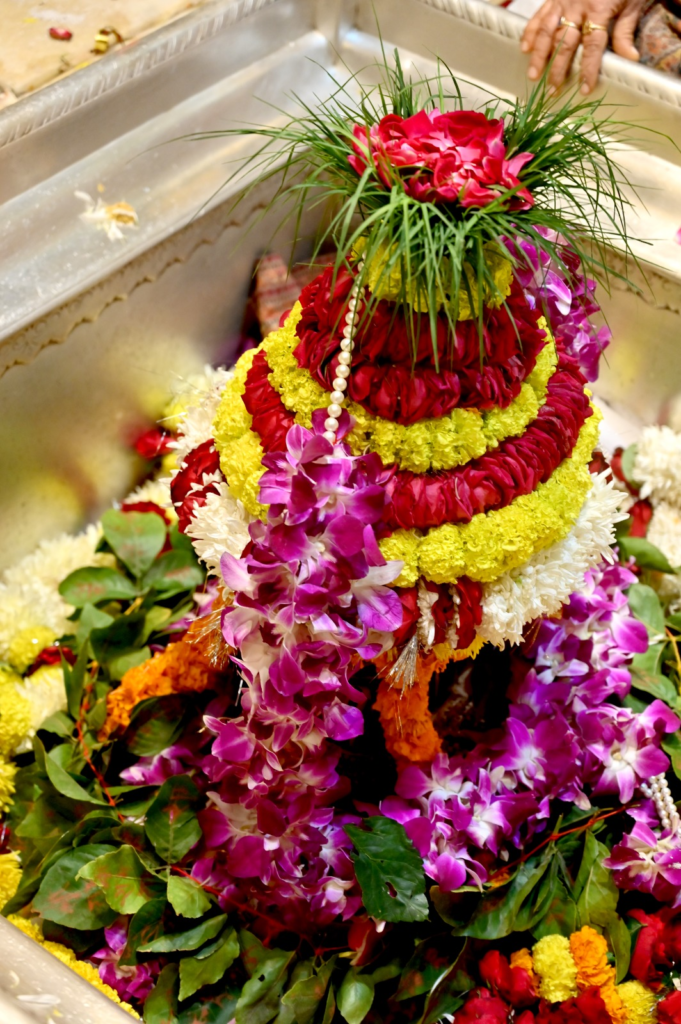 Vishwanath Dham