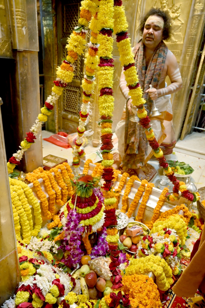 Vishwanath Dham