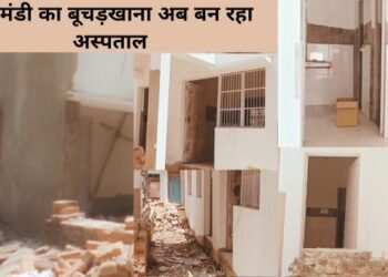 varanasi dalmandi news