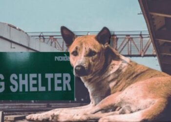 varanasi shelter home