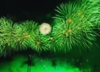 Green Crackers Allowed