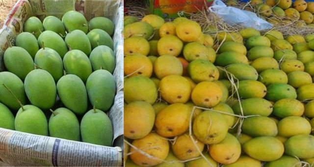Banarasi Langda Aam