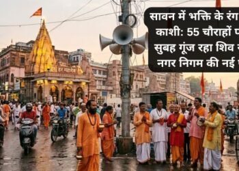 kashi