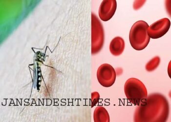 Dengue Alert