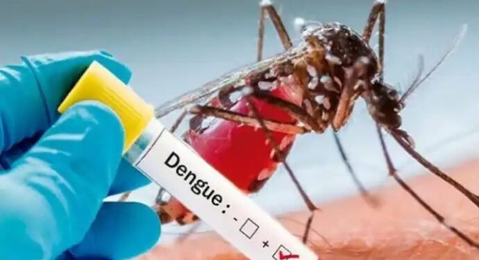Dengue