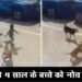 हैदराबाद में दिल दहला देने वाली घटना, 4 वर्ष के बच्चे को कुत्तों ने नोच खाया