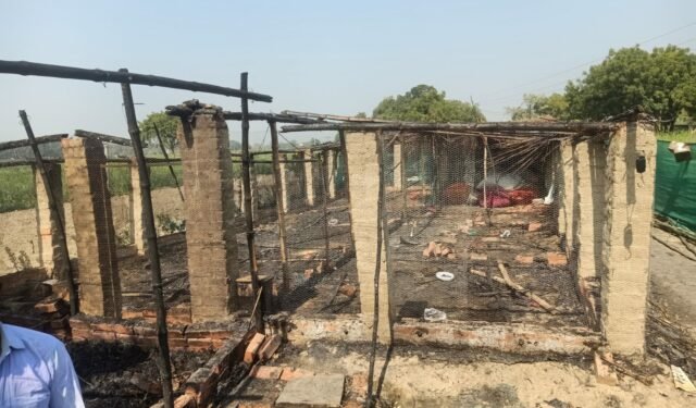 पोल्ट्री फॉर्म में आग लगने से हजारों रुपये की मुर्गी व चूजे जलकर रख