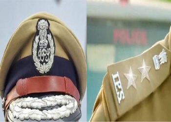 IPS Transfer