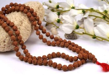 महाशिवरात्रि पर 14 मुखी रुद्राक्ष धारण करने के कई लाभ, जानिए इसके बारे में