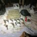 बड़ी कार्रवाई: अतीक के दफ्तर पर पुलिस की छापेमारी, जब्त किये हथियार व लाखों नगदी
