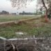 मूसलाधार बारिश से बिजली के खंभे धराशायी, घंटों बिजली रही गुल