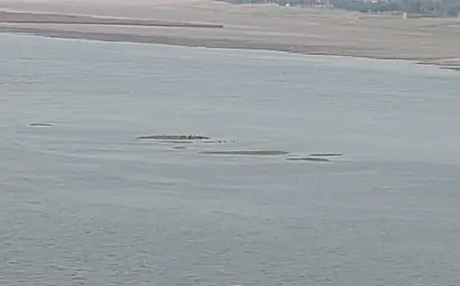 Ganga Water Level