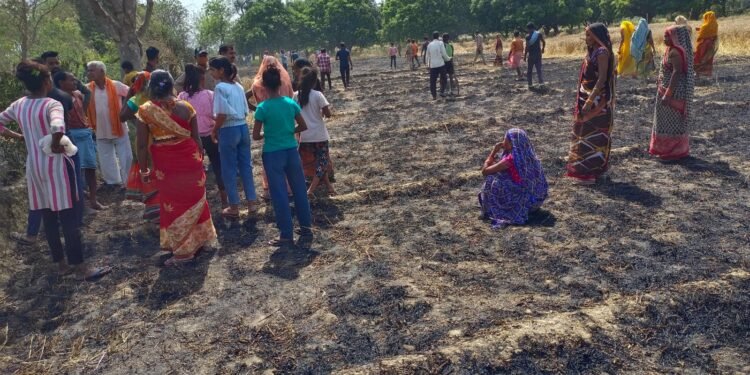 बंथरा में विद्युत तारों की चिंगारी से 10 किसानों की करीब 7 बीघा गेहूं की खड़ी फसल जलकर हुई राख