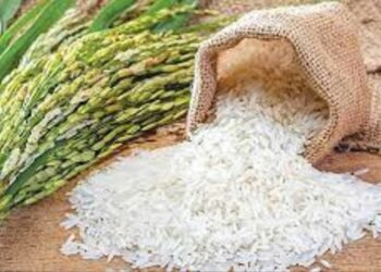 Fortified Rice