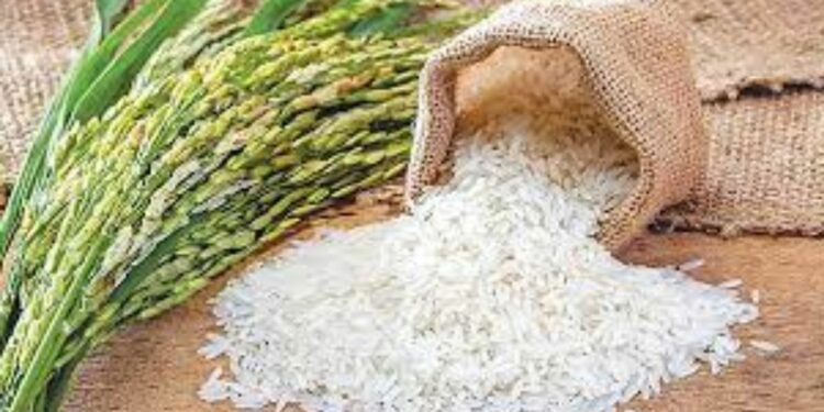 Fortified Rice