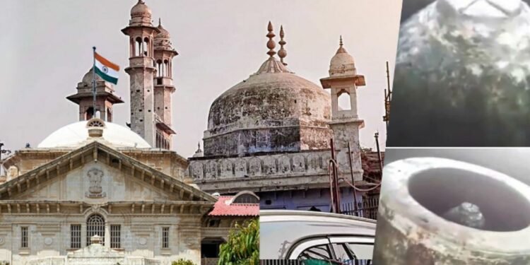 Gyanvapi Survey