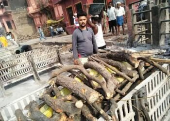 Aman Kabir