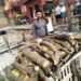 Aman Kabir