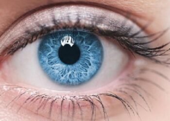 गर्मियों में चाहतो है हेल्दी Eyesight तो आपनी डाइट में शामिल करें ये 8 फूड्स