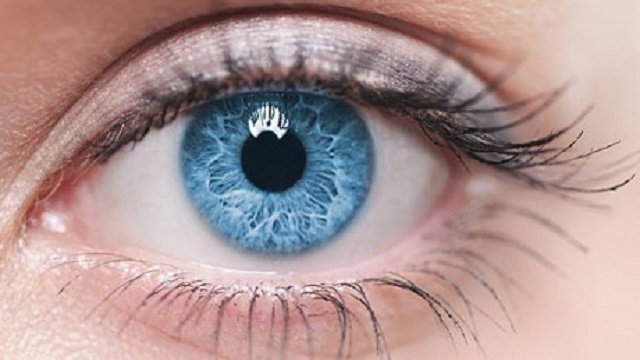 गर्मियों में चाहतो है हेल्दी Eyesight तो आपनी डाइट में शामिल करें ये 8 फूड्स
