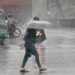 लखनऊ में तेज आंधी के साथ हुई बारिश , टूटे कई पेड़