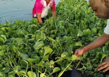 पर्यावरण आंदोलन सेना  के संयोजक के नेतृत्व में गोमती नदी की हुई सफा