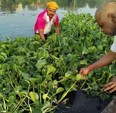पर्यावरण आंदोलन सेना  के संयोजक के नेतृत्व में गोमती नदी की हुई सफा