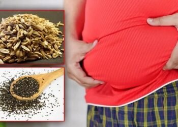 सौंफ और चिया सीड्स का मिश्रण वजन घटाने में है मददगार,जाने इस्तेमाल का सही तरीका