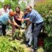 विश्व पर्यावरण दिवस पर निकाय निदेशक नेहा शर्मा ने रोपा पौधा