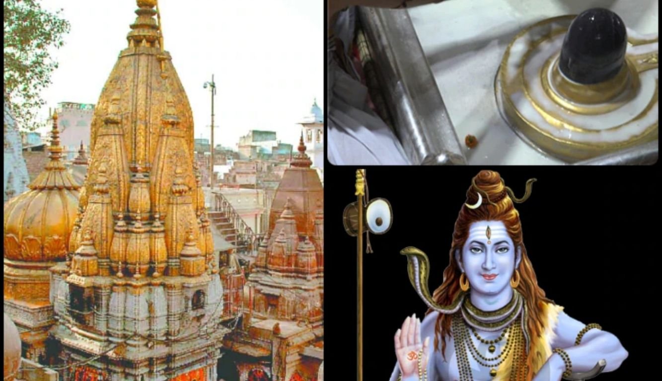 Sawan : हर-हर महादेव से गूंज उठी शिव की नगरी, लाखों श्रद्धालुओं ने किया बाबा का जलाभिषेक sawan
