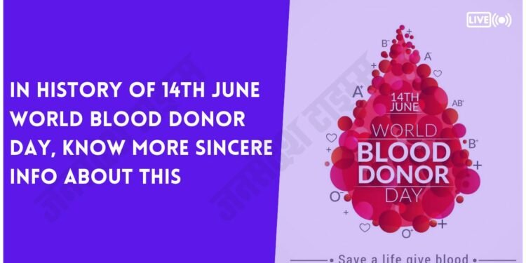 blood donor