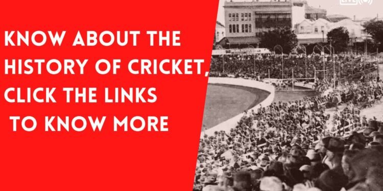 cricket
