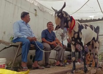 Bakrid