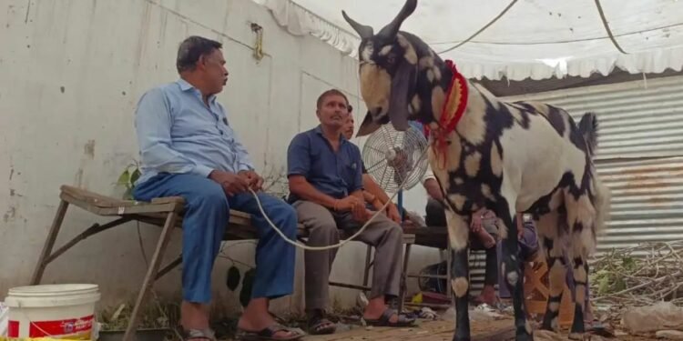 Bakrid
