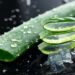 Aloe Vera For Teeth: टूथपेस्ट की जगह एलोवेरा से करेंगे ब्रश तो पायेंगे स्वस्थ और मजबूत दांत