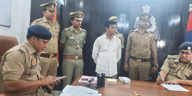 VNS Crime News