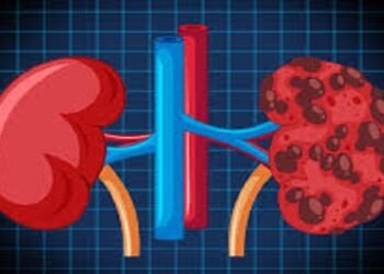 kidney Disease : किडनी की बीमारी से है परेशान तो बना लीजिए इन 5 हेल्दी फूड्स को अपना बेस्टि फ्रेंड