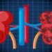 kidney Disease : किडनी की बीमारी से है परेशान तो बना लीजिए इन 5 हेल्दी फूड्स को अपना बेस्टि फ्रेंड