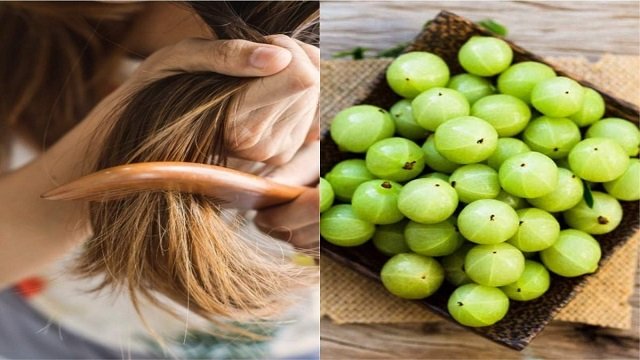 natural-hair-care-tips-how-to-use-amla-powder-for-hair-problems-home-remedies-for-hair-fall-7549028312356789