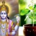 भगवान विष्णु शालिग्राम के रूप में वृंदा रुपी तुलसी से विवाह