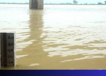 Water Level