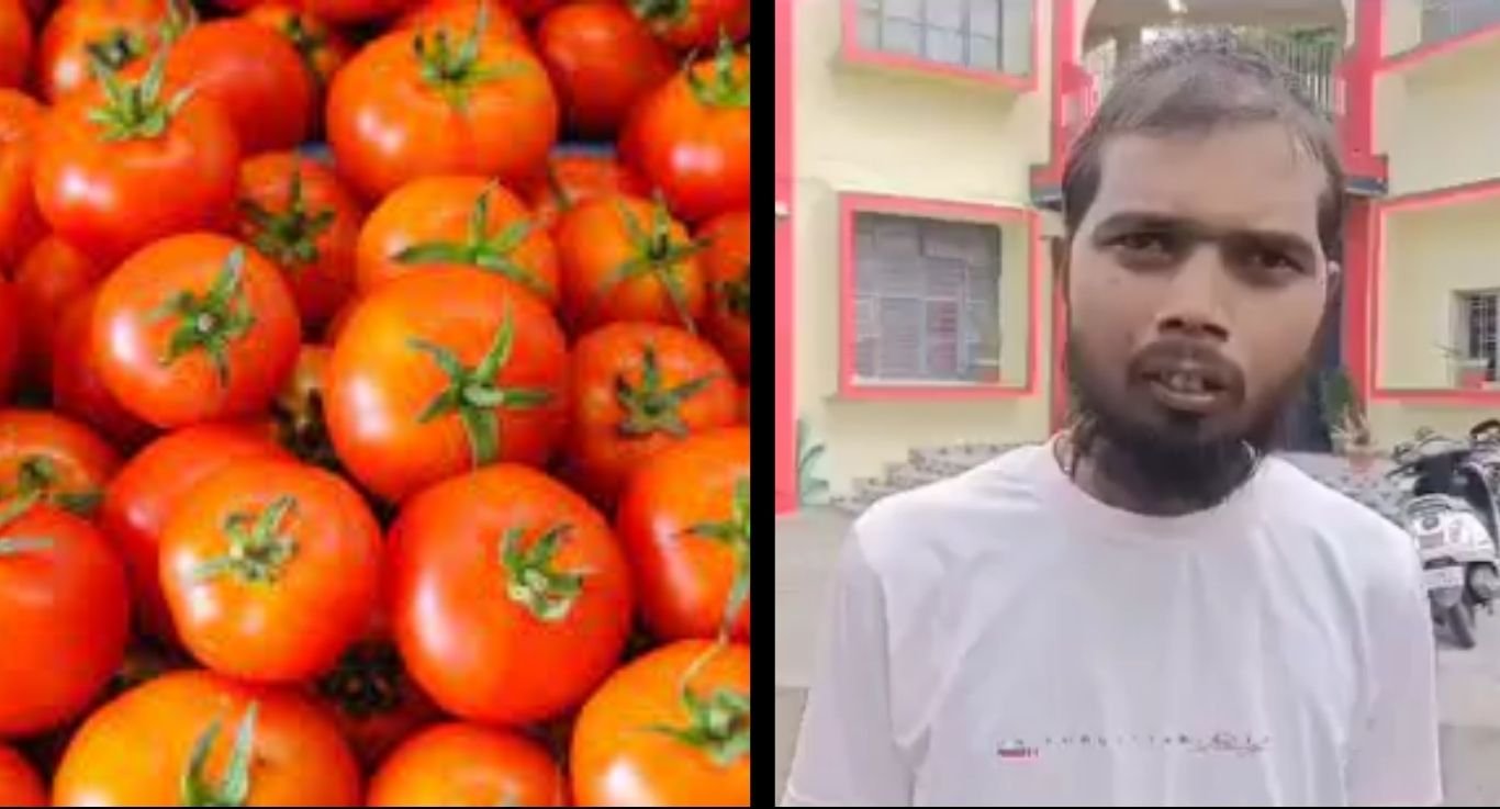 Tomato Prices