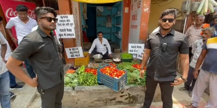 Tomato Bouncer Row